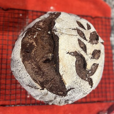 Double Chocolate Sourdough 