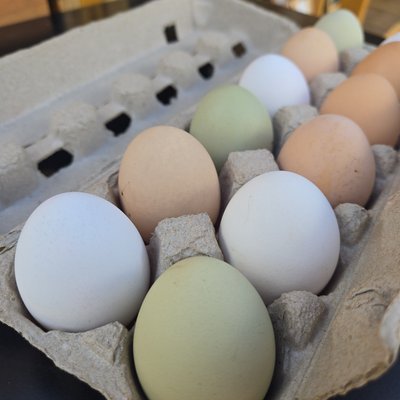 Dozen Rainbow Eggs