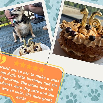 Pup Cake (Animal Safe Ingredients) 