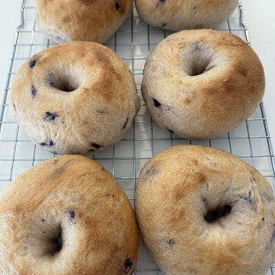 Sourdough Bagels- Blueberry(4)