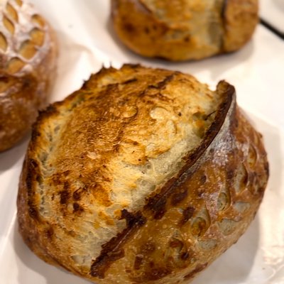 Cheddar Cheese Sourdough 