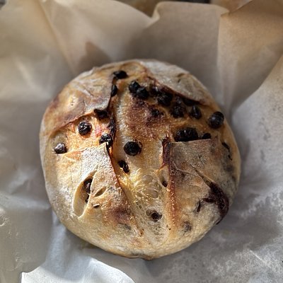 Chocolate Chip Sourdough 