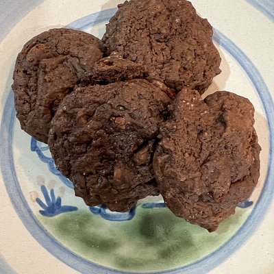 Mocha Chip Sourdough Discard Cookie (single)