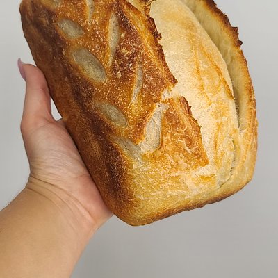 Croissant Sourdough Bread