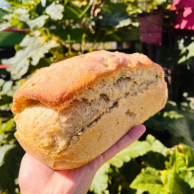 Sourdough Sandwich Loaf