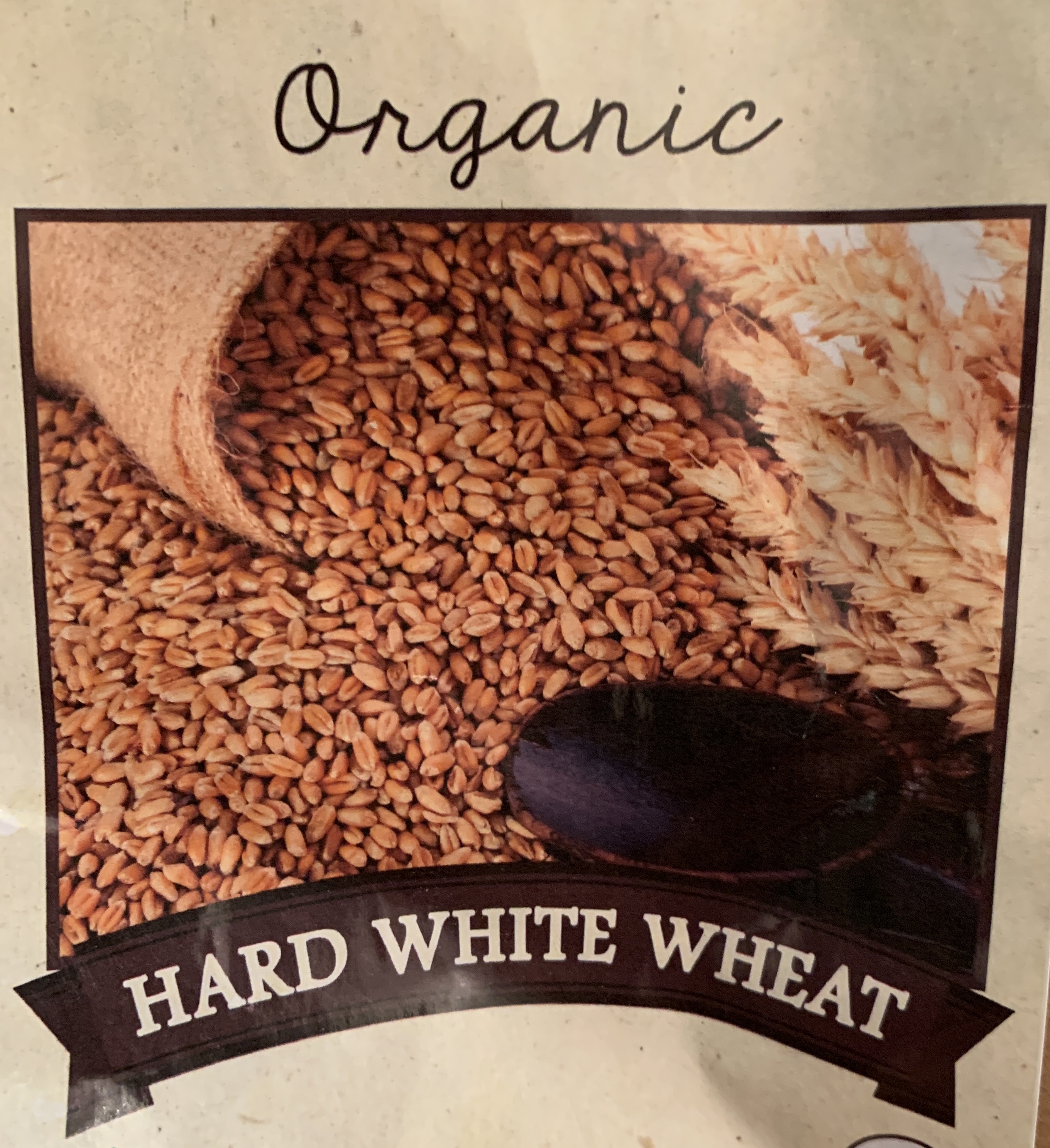 Organic Hard White Wheat Flour 1 Pack