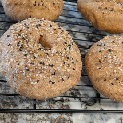 Everything Bagels (6) 🌿