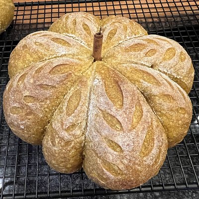 Pumpkin Sourdough Loaf