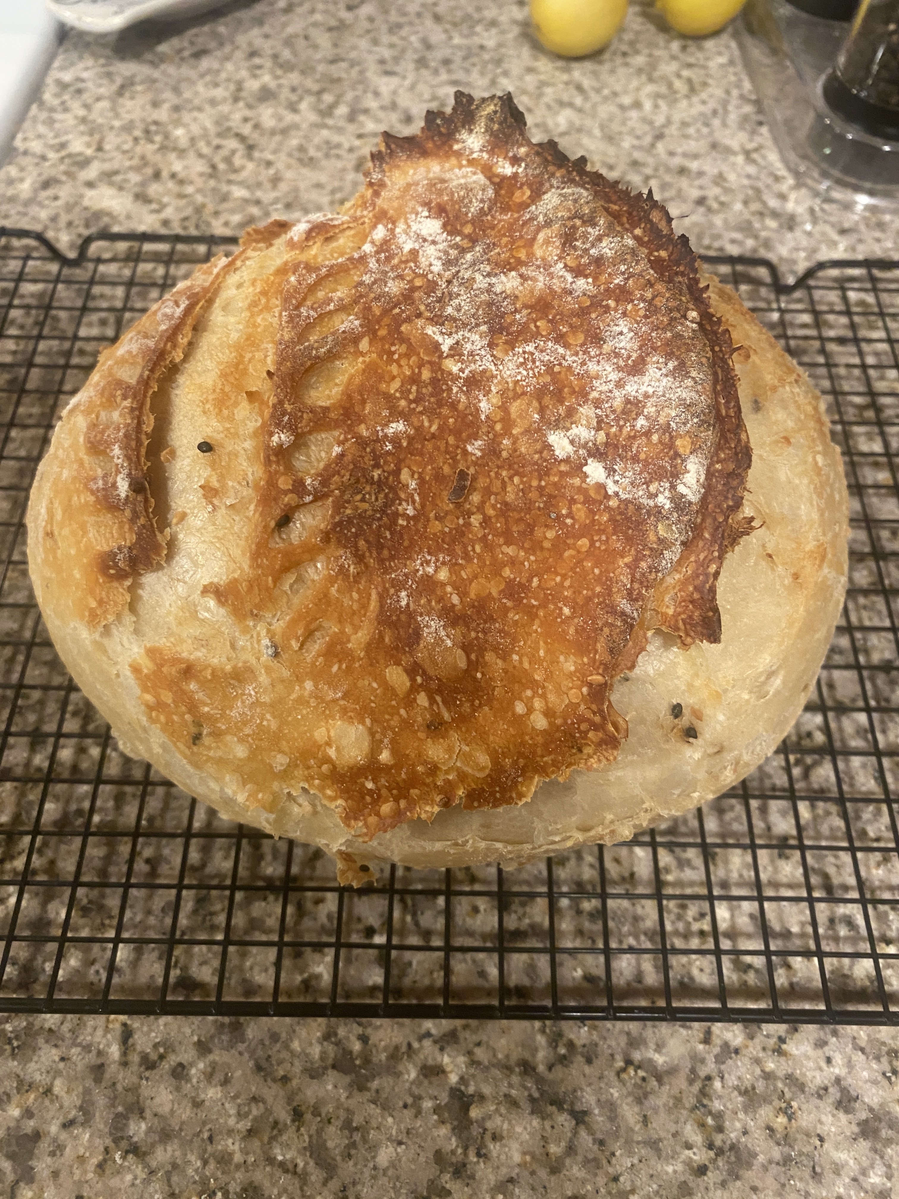 Everything But The Bagel Sourdough