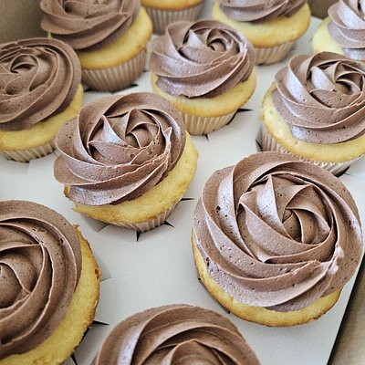 Cupcakes By The Dozen