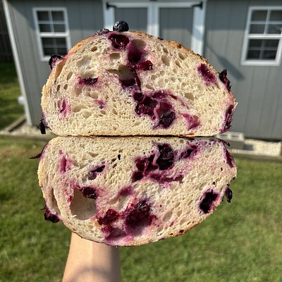 Organic Blueberry Sourdough Loaf