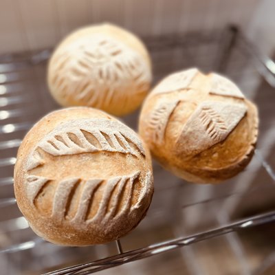 Sourdough Artisan Round Original Half Loaves 
