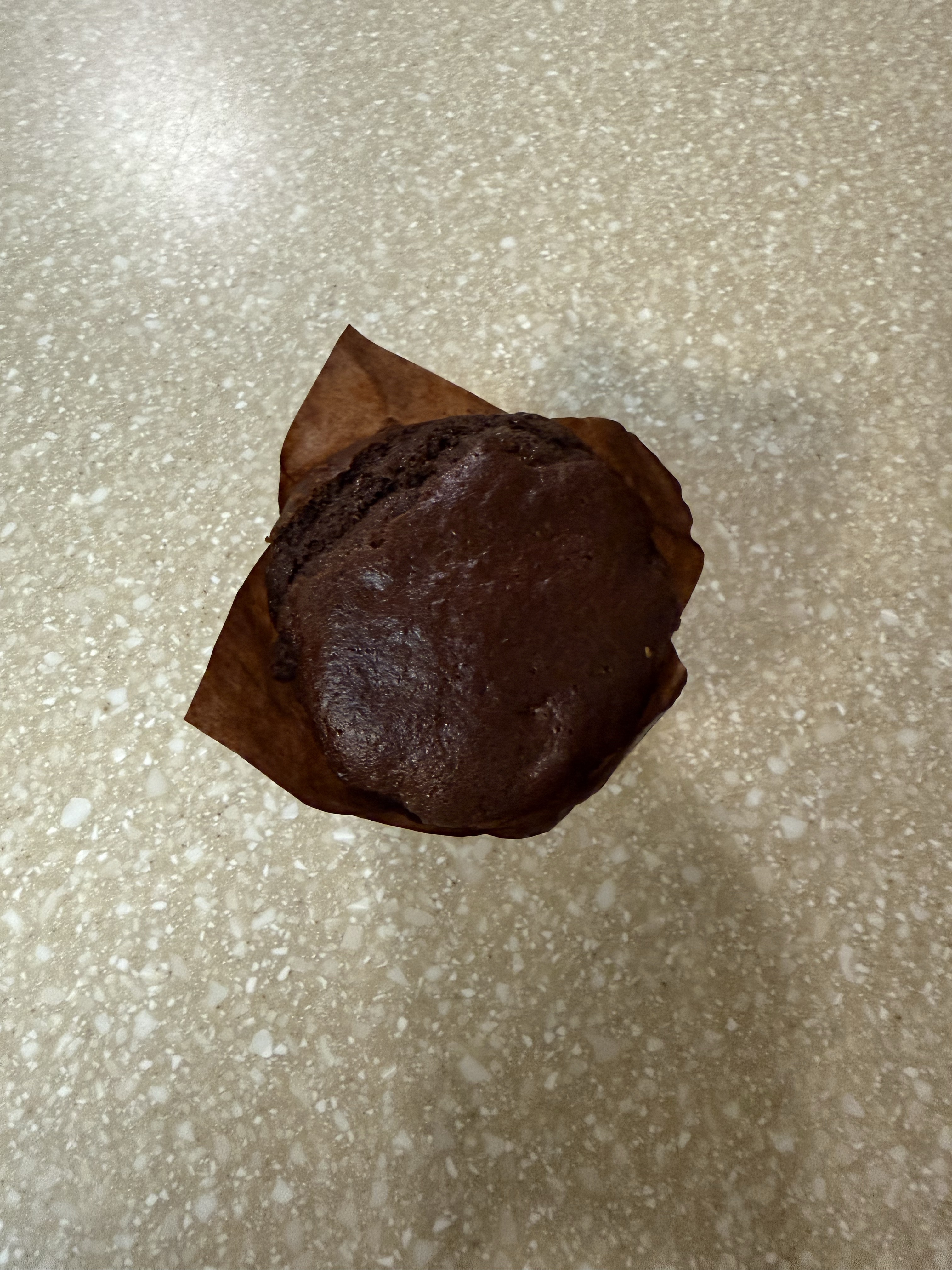 Double Chocolate Chip Muffin (Single)