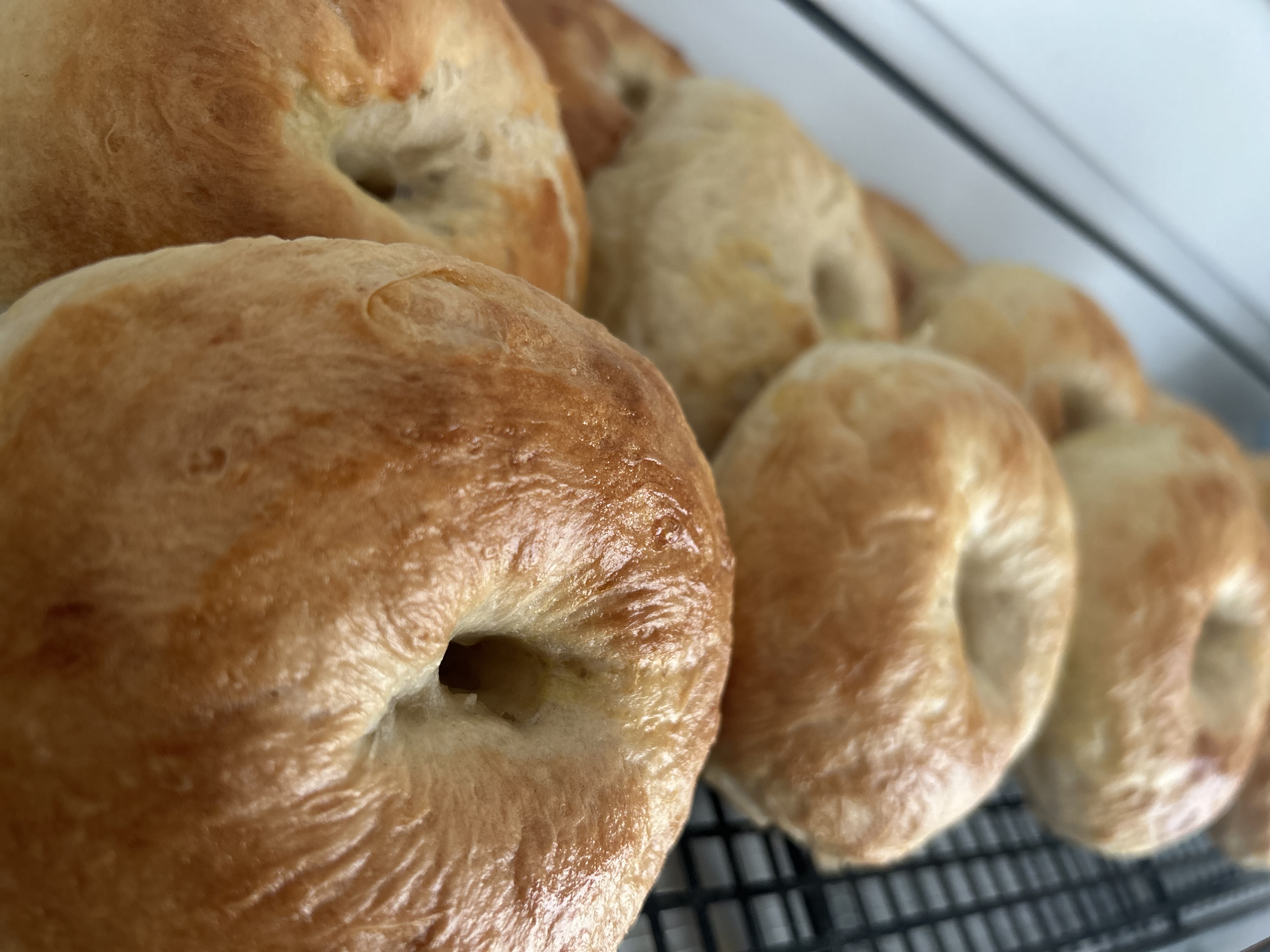 Plain Bagels