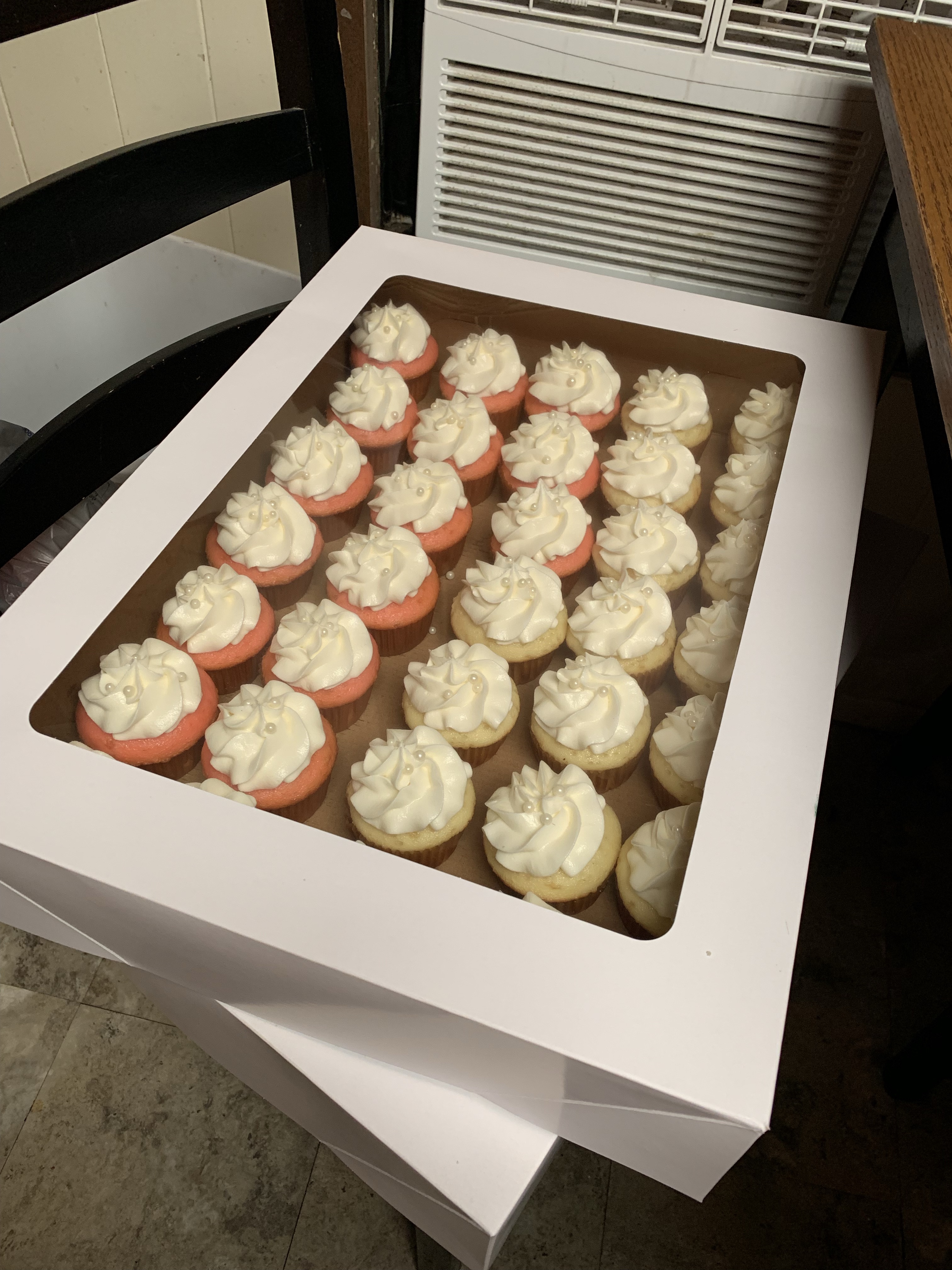 Cupcakes Basic Iced White 6 Pk