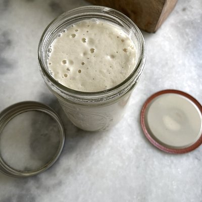 Active Sourdough Starter 