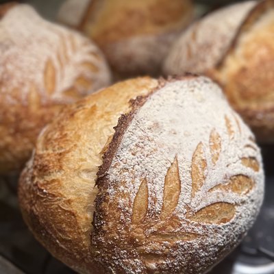 Organic sourdough