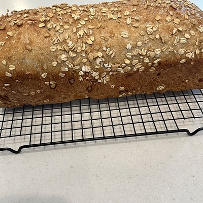 Laverne’s Morning Light - Wheat Oat Sourdough Pulllman Loaf