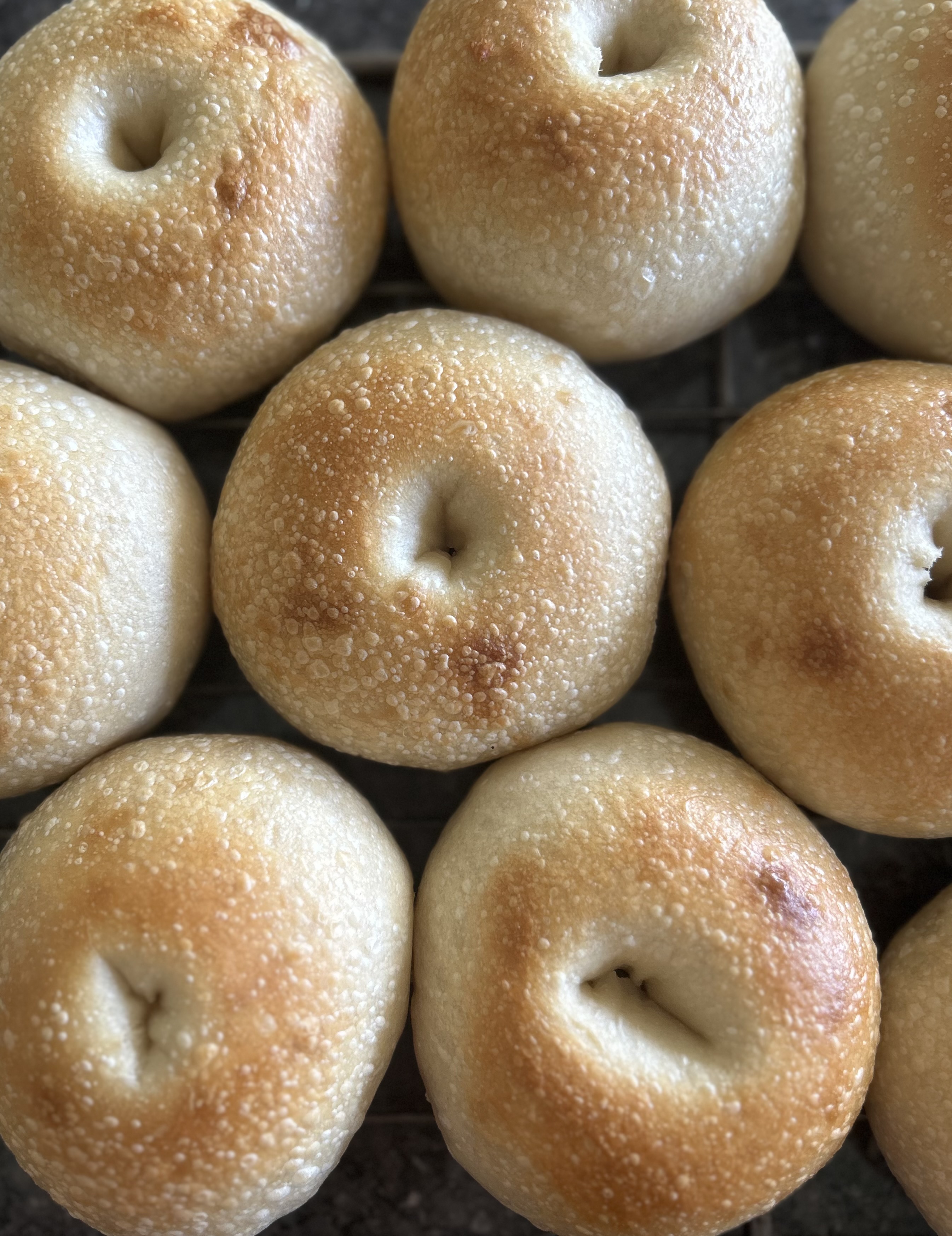 Plain Sourdough Bagels 