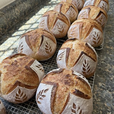 1/2 Dozen Mini Classic Boules
