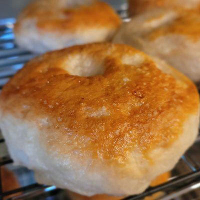 Sourdough PLAIN Bagels 4ct (HALF ORDER)