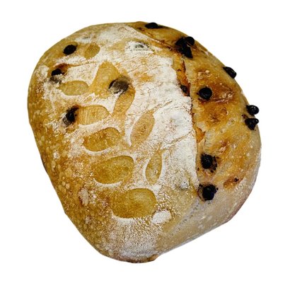 Chocolate Chip