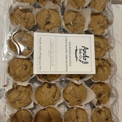 Blueberry Muffin Party Pack 