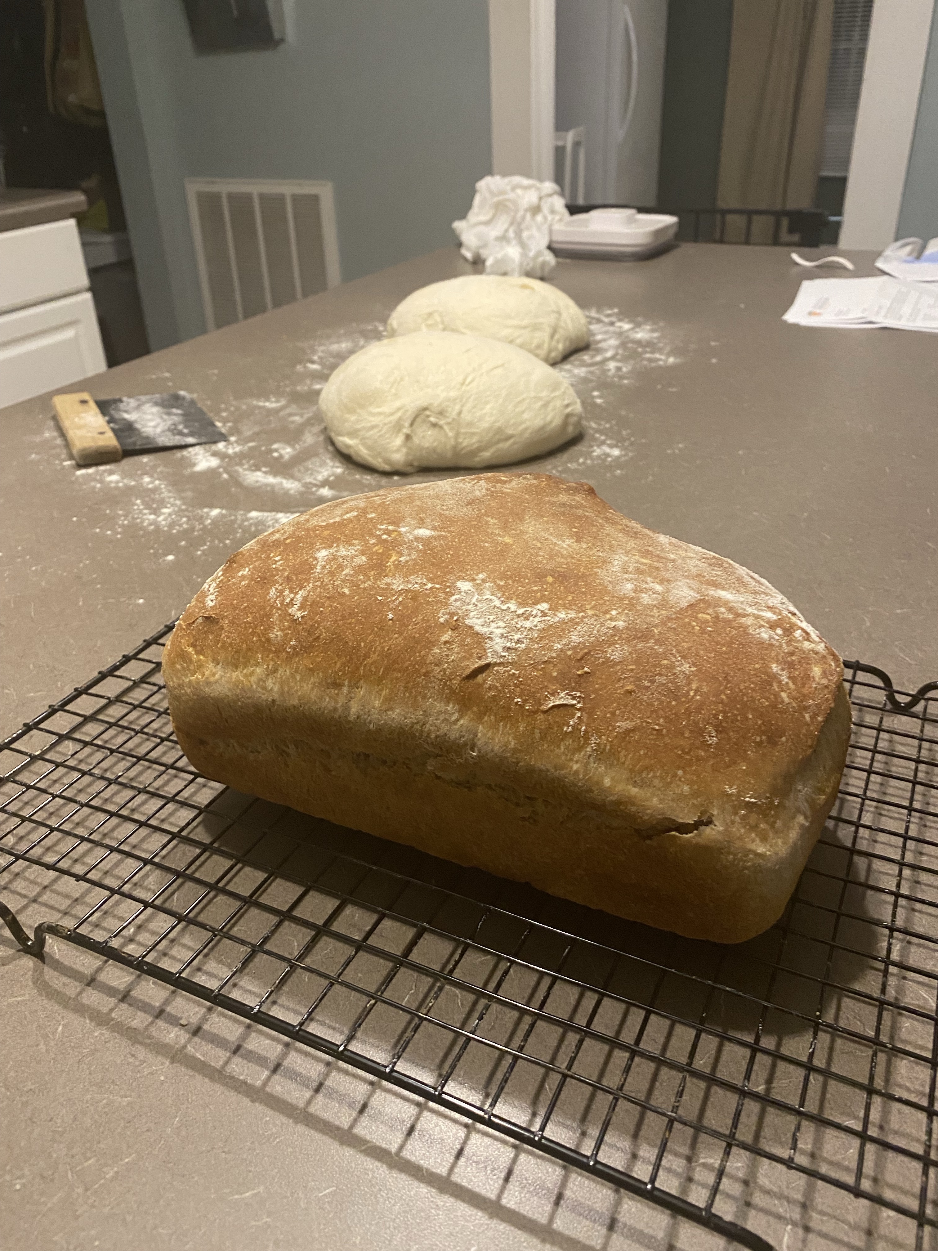 Honey Wheat Sandwich Loaf