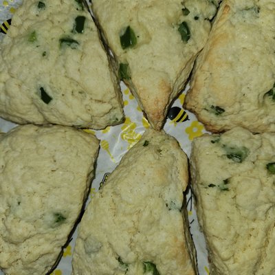 Jalapeño Asiago Scones
