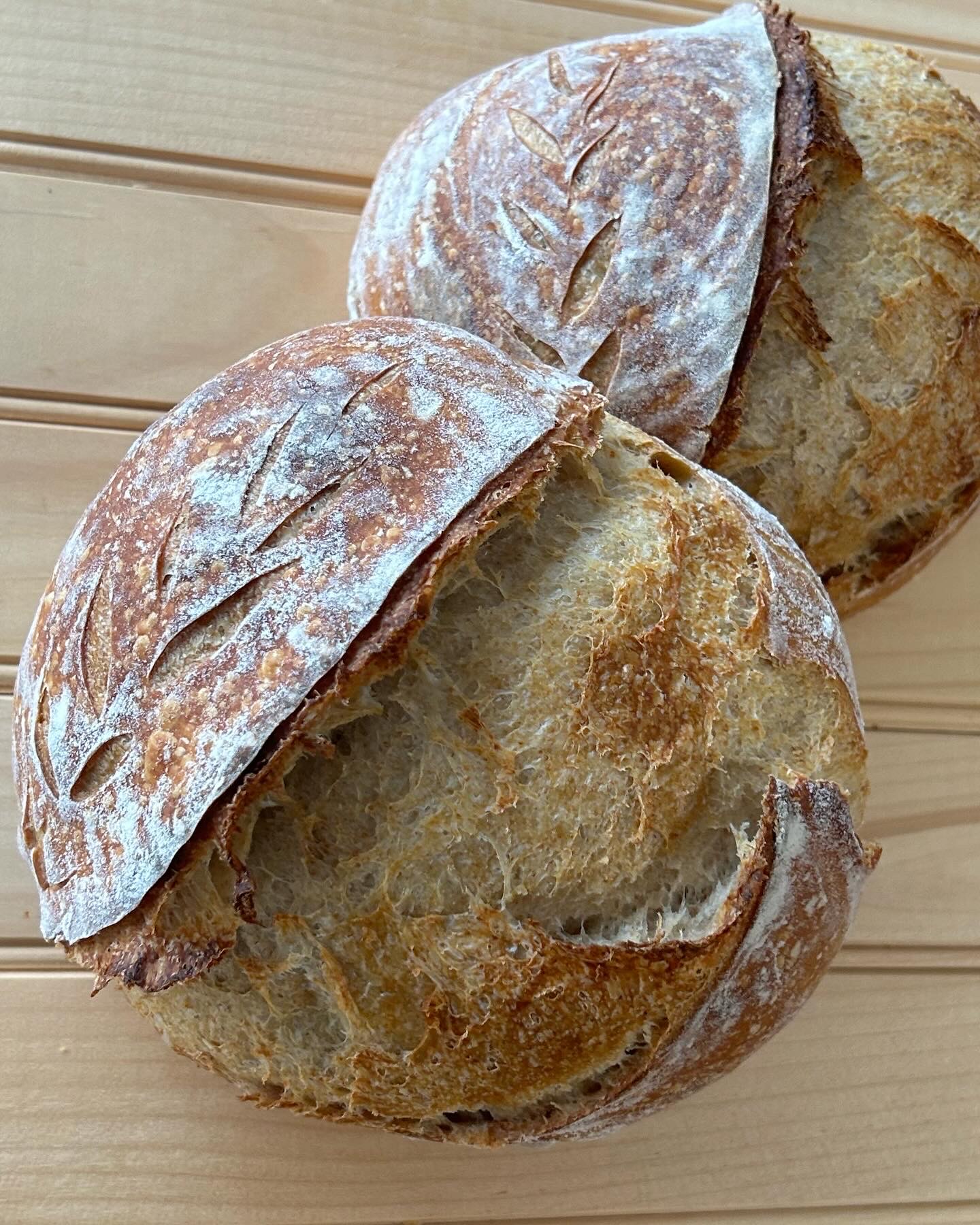 Sourdough Boule (Round) 