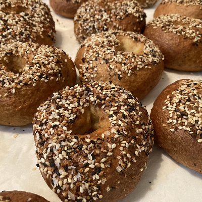 4 Pack - Everything Bagels