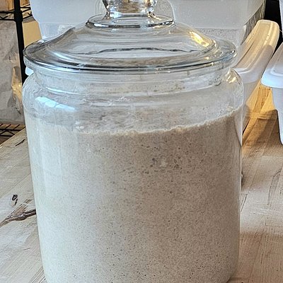 Active Starter 25g