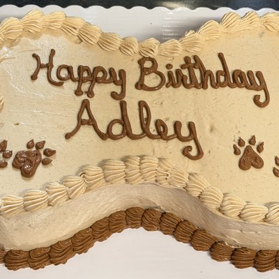 10" Bone-shaped Cake