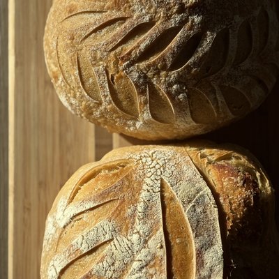 Double Plain Loaves
