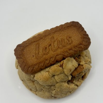 Protien Biscoff 