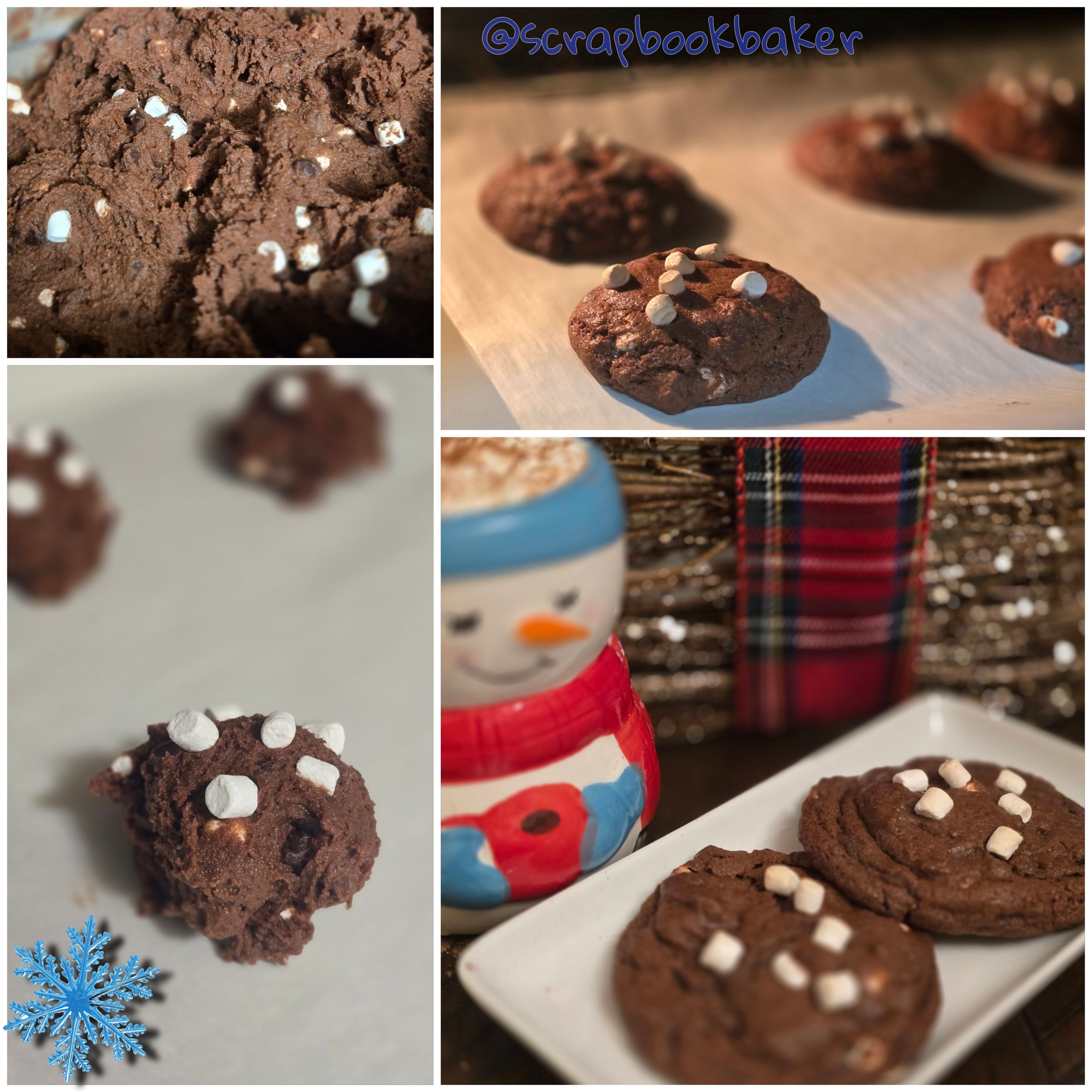 Hot Cocoa Cookie (12 pack)