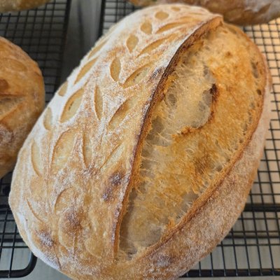  Artisanal Sourdough - Classic Plain Loaf