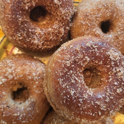 Sourdough Apple Cider Donuts