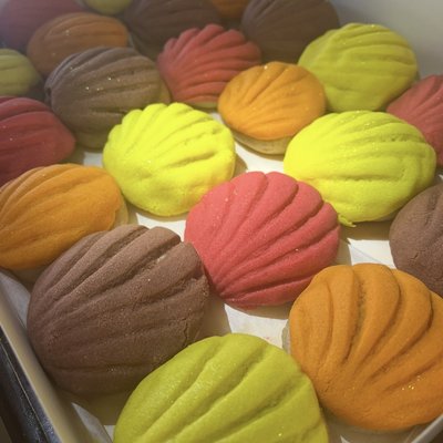 3 Fall Colors Concha bites