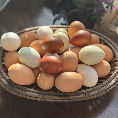 Fresh Unwashed Eggs 