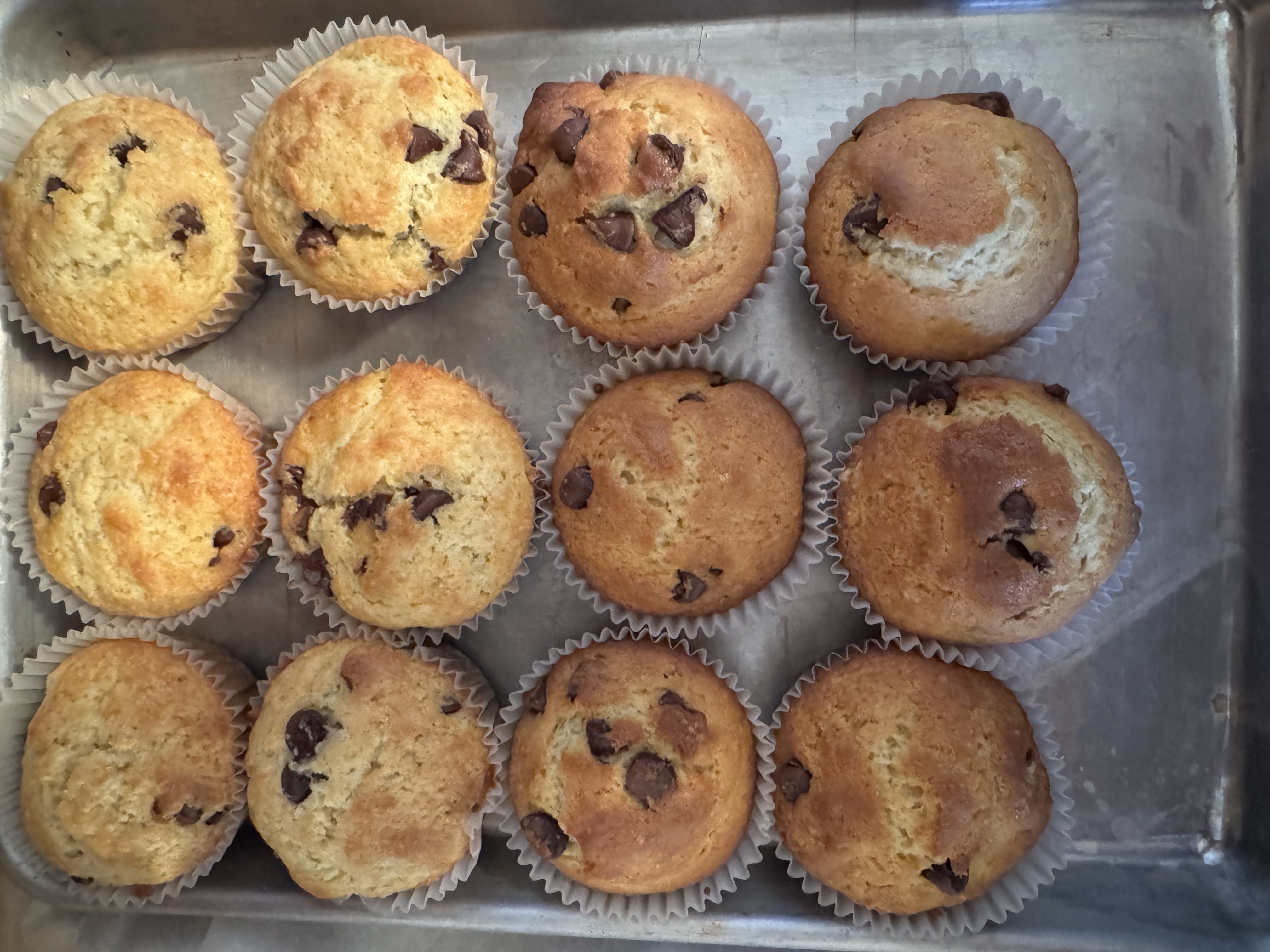 Chocolate Chip Muffins
