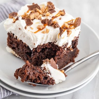 Better Than Sex Cake (Double Layer)