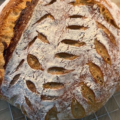 Regular Sourdough 