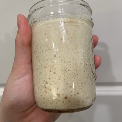 Basic Sourdough Starter