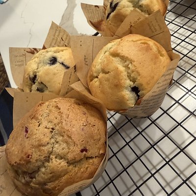 Blueberry Lemon Muffins