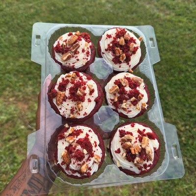 6 Count Cupcake 