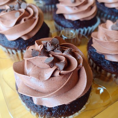 Chocolate Cupcakes 