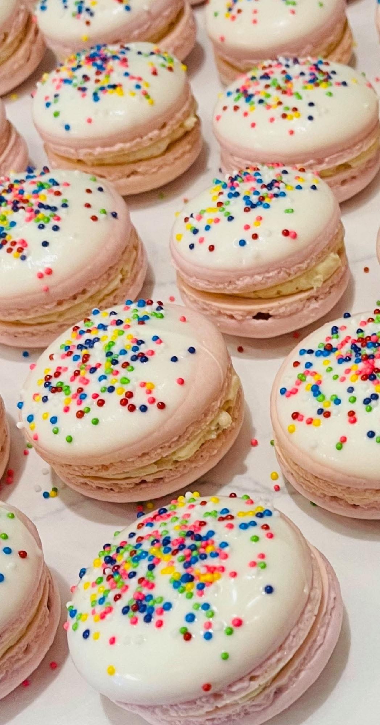 Animal Cracker Macarons