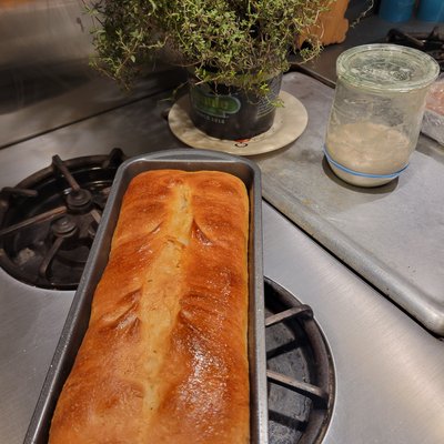 Sourdough Sandwich Bread