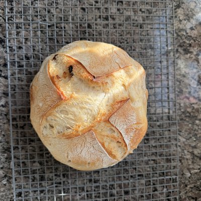 Sourdough Artisan Loaf